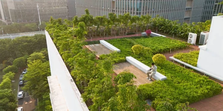 Жетісу прокурорлары «Ардагерлер саябағының» жерін заңсыз иеленушілерден қайтарып алды