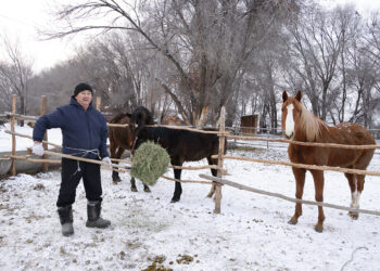 Жердің жайын бағамдап, малдың қамын ойлаған