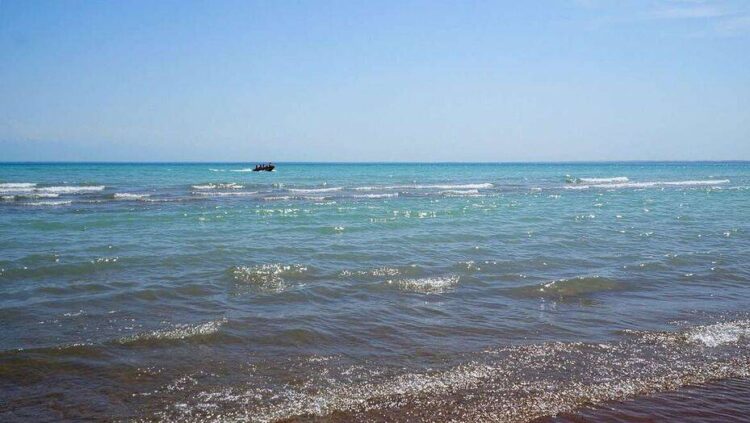 Заң және тәртіп: Бассейндік су инспекцияларының өкілеттігі қалай күшейді?