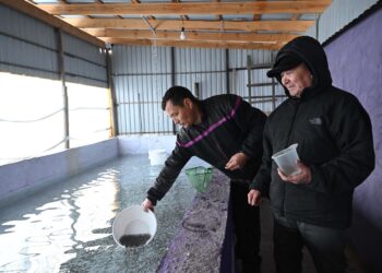 Бабын білсең балық та байлық