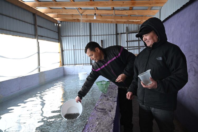 Бабын білсең балық та байлық