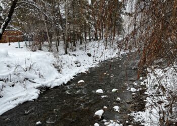 Боран мен қатты аяз: 19 қаңтарға арналған ауа райы болжамы