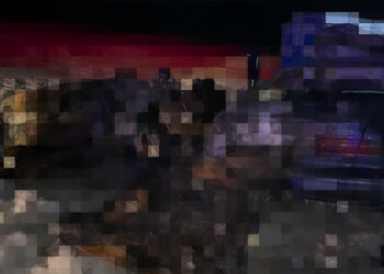 Жетісуда жол апаты бес адамның өмірін қиды