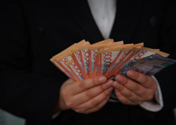 Келесі жылдан бастап қазақстандықтардың табысы мен шығыны тексеріледі