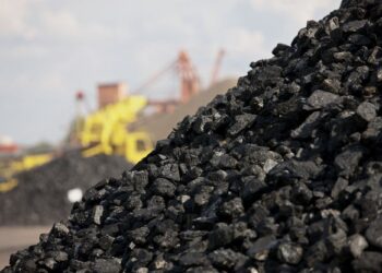 Көмір бағасын кім бақылайды?