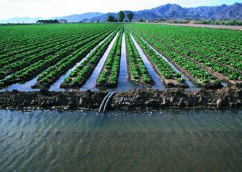Суару суын жеткізушілерге ірі көлемде айыппұл салынды: Тұтынушы құқығы қалай қорғалуда?