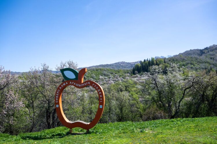 Жетісудың 3 фестивалі Туризм және спорт министрлігінің мәдени-туристік оқиғалар күнтізбесіне енді