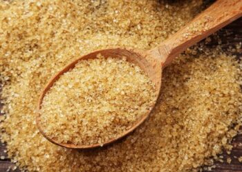 Елде желатин мен коллаген зауытының құрылысы басталды