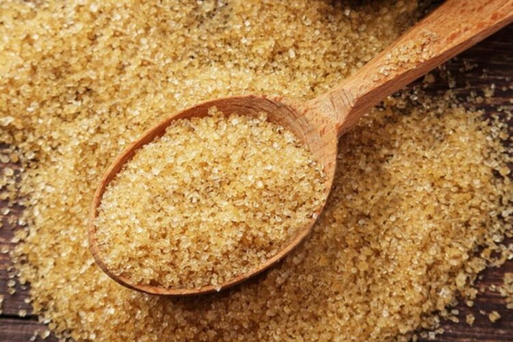 Елде желатин мен коллаген зауытының құрылысы басталды