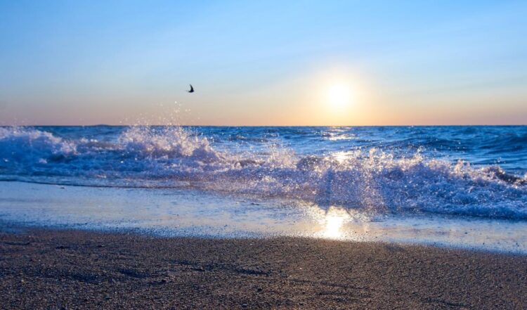 Балқаш көлінің жағалауында екі коммуналдық жағажай ашылады