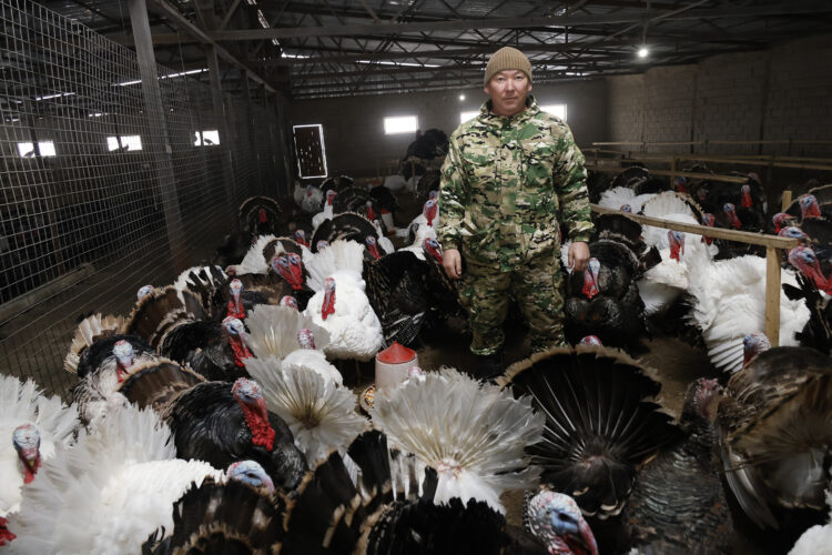 Көктеректе құсшы бар тәуекелге бел буған