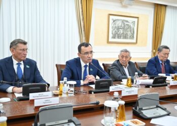 СЕНАТТА «ҰЛТТЫҚ МҮДДЕ» ДИАЛОГ АЛАҢЫНЫҢ ОТЫРЫСЫ ӨТТІ