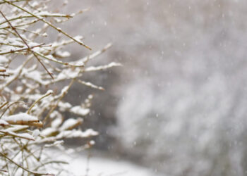 Жексенбіге арналған ауа райы болжамы