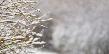 Жексенбіге арналған ауа райы болжамы