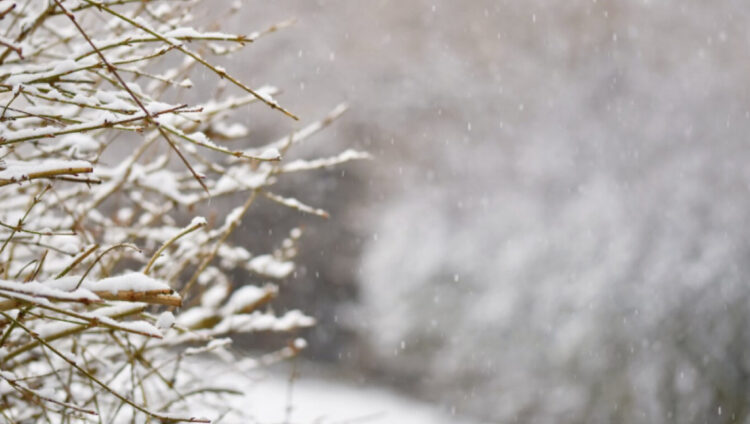 Жексенбіге арналған ауа райы болжамы