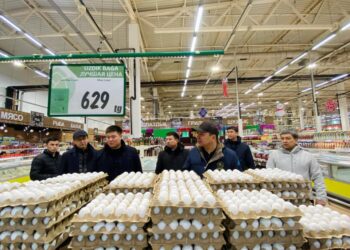 Баға мониторингі аясында 1 қаңтардан бері 600-ден астам сауда нысаны тексерілді