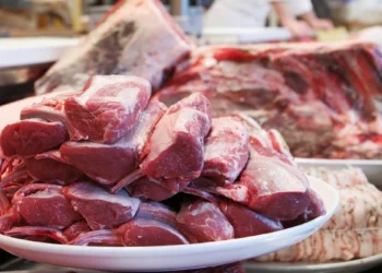 Қазақстанға жылқы еті импорты күрт артты: Он жылдағы рекордтық көрсеткіш тіркелді