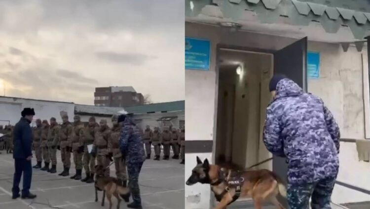Жетісудағы Ұлттық ұлан бөлімінде есірткіге қарсы рейд өтті