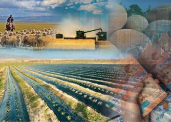 «Ауыл аманаты» Ауылды дамытудың нақты жолы