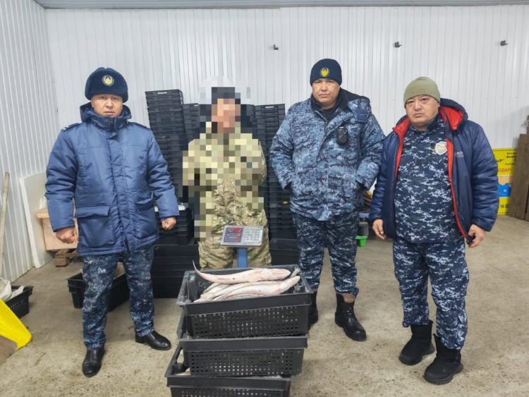 Жетісуда заңсыз балық аулаған 25 жастағы жігіт ұсталды