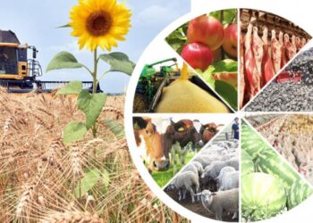 Келешек инвестициясы