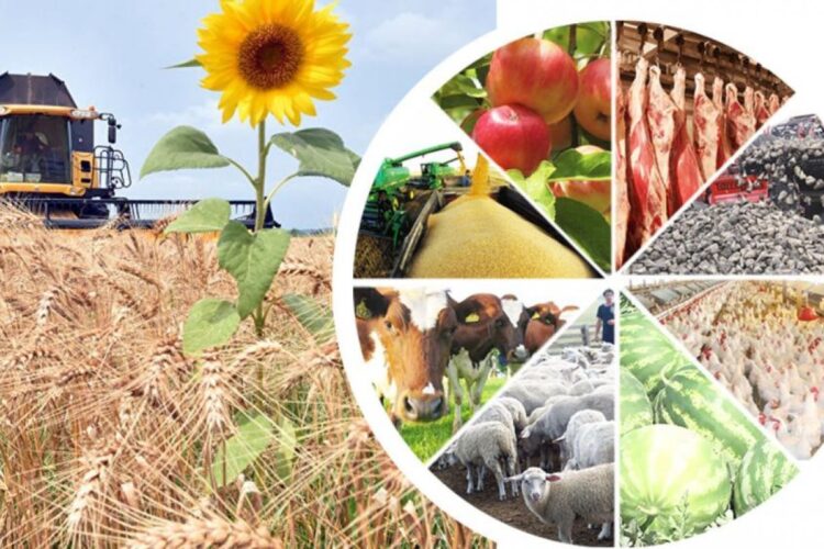 Келешек инвестициясы