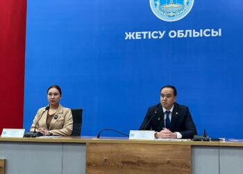 Жетісуда кедендік тексерулер: 3 мыңнан астам тексеру, бюджетке 660 млн теңге қосылды