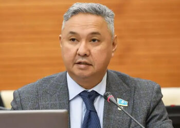 Жаңа Конституцияда меншік нысандарының анықтамасы барынша нақтылануы мүмкін