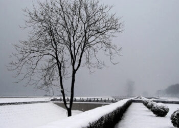 Бейсенбіге арналған ауа райы болжамы