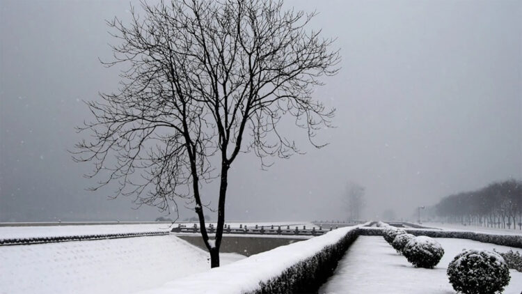 Бейсенбіге арналған ауа райы болжамы