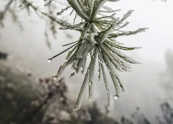 Бүгін ауа райы құбылмалы болады