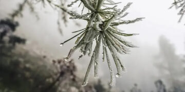 Бүгін ауа райы құбылмалы болады