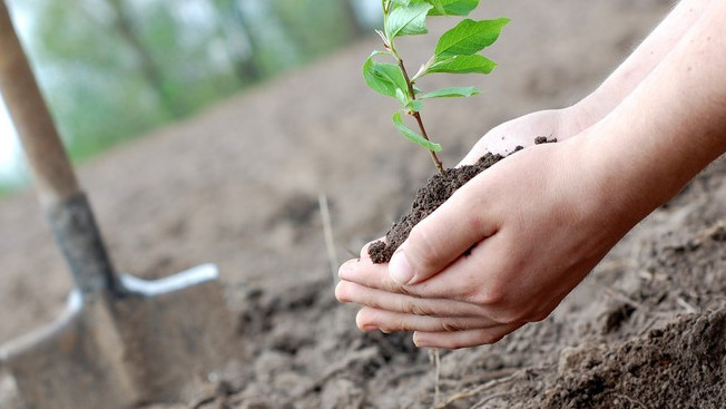 «ECOSANA» ұран емес, ұстаным