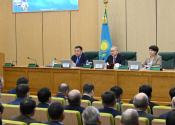 Жетістігі мол Жетісу