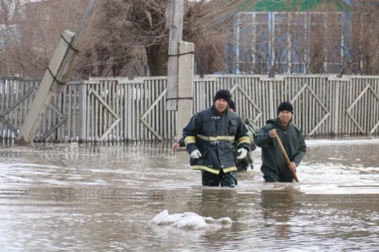 Көктемгі тасқын 2026: Қай өңірлерге «үлкен су» келуі мүмкін?