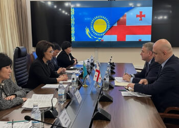 Ақмарал Әлназарова Грузия елшісімен медициналық сақтандыру мәселелерін талқылады