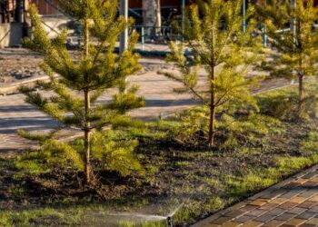 Жетісуда «Таза Қазақстан» аясында 12 жасыл аймақ абаттандырылады