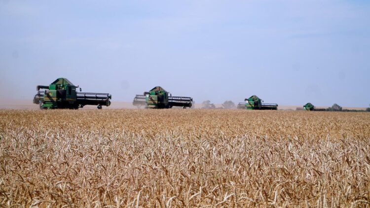 Терең өңдеу және экспорттық рекорд: Қазақстан агросекторының жаһандық әлеуеті