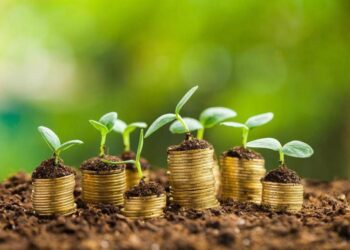 Диқандарға жеңілдік: «Кең дала 2» бағдарламасымен 200 млрд теңге бөлінді