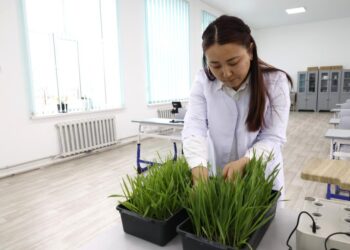 Колледждер еңбек нарығының сұранысына сай бейімделуде