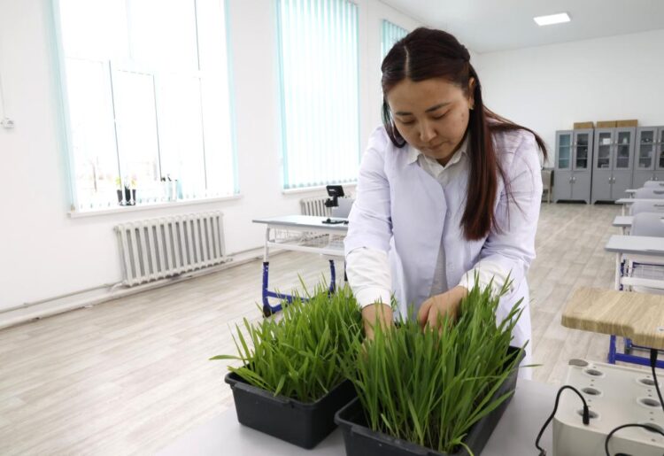 Колледждер еңбек нарығының сұранысына сай бейімделуде