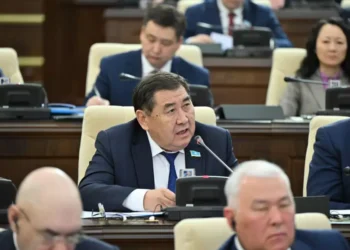 Тіл текетірестің қаруына айналмауы керек – Ермұрат Бапи