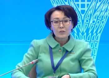 Үнзила Шапақ: Халықаралық шарттарды қолдану тәртібі заңмен айқындалады