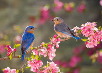 Наурызда қазақстандықтар қанша күн демалады?