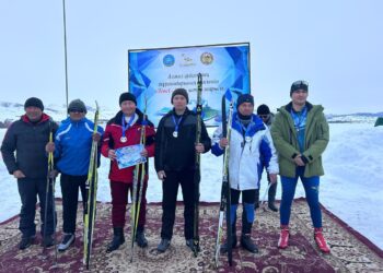 Ақ қардағы аламан