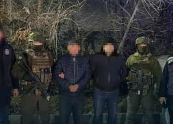 Халықаралық операция арқылы ірі есірткі арнасы жойылды