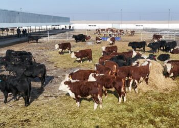 Өріске бастар агроөнеркәсіп