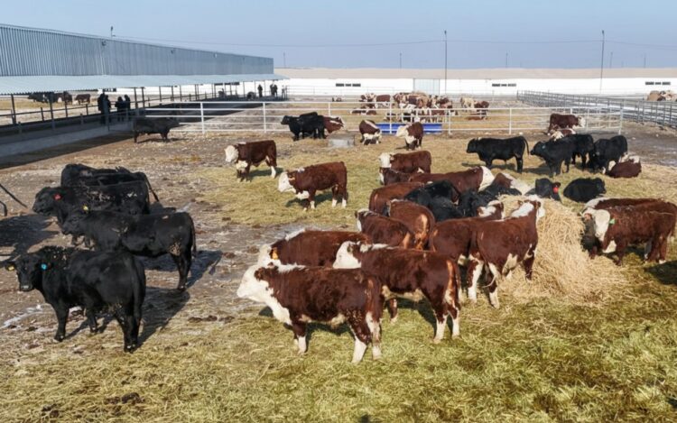 Өріске бастар агроөнеркәсіп