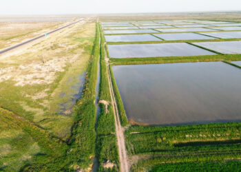 СУ сақтаудың – ақылды тәсілі