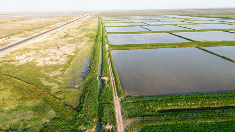 СУ сақтаудың – ақылды тәсілі